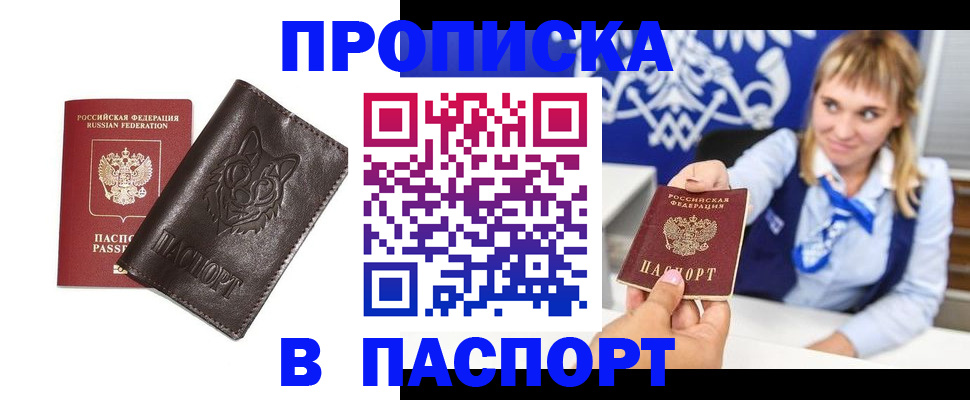 где прописаться в Малой Вишере